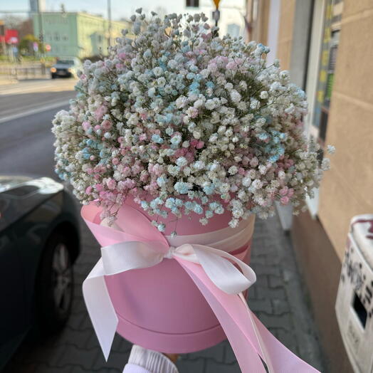 Gypsophila in a box
