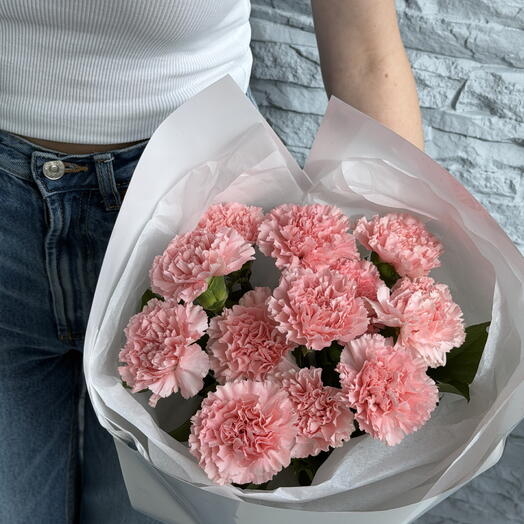 Rosy Cloud - 12 Pink Carnations