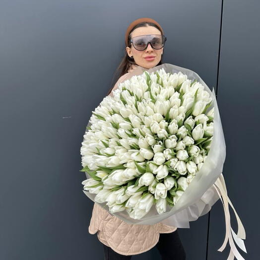 151 tulips