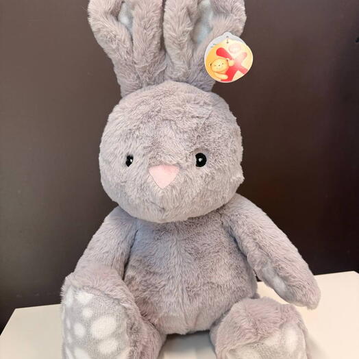 Cute little bunny