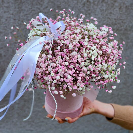 Candy Bloom ☁️🌸