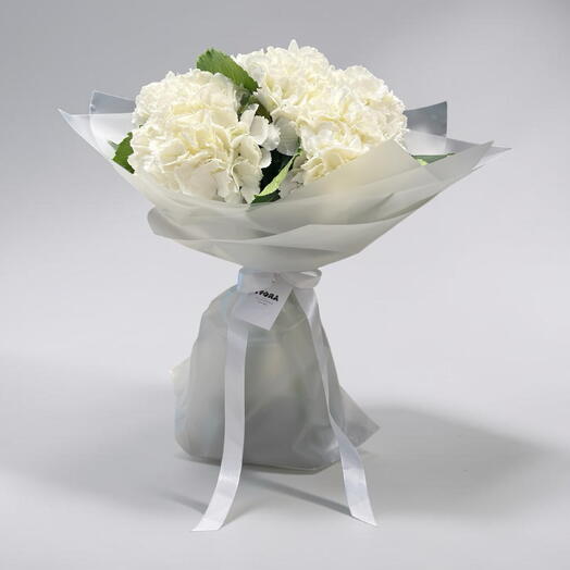Bouquet Hydrangea