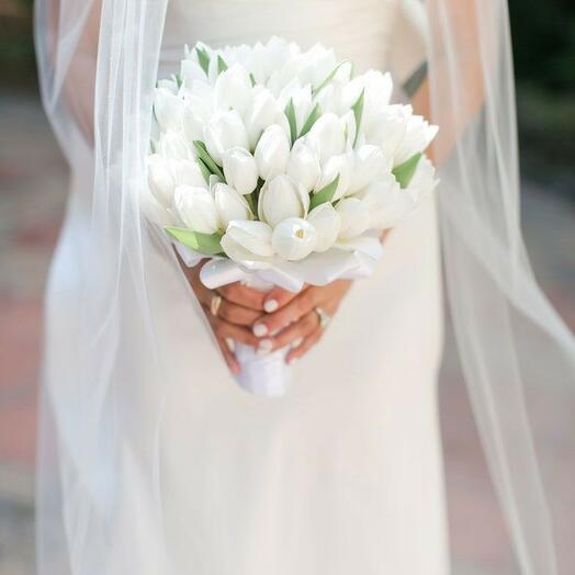 Snow Tulip Embrace