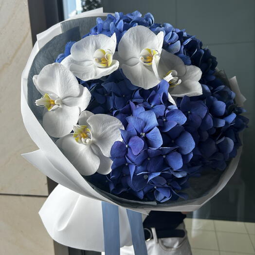 Sapphire Morning