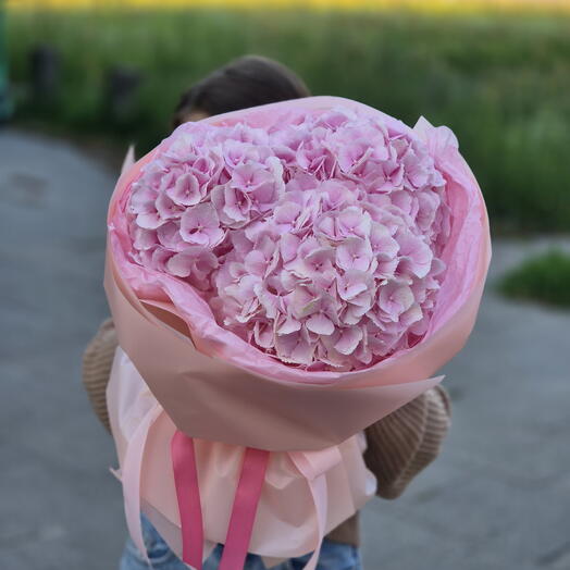 Bouquet of Pink Hydrangeas