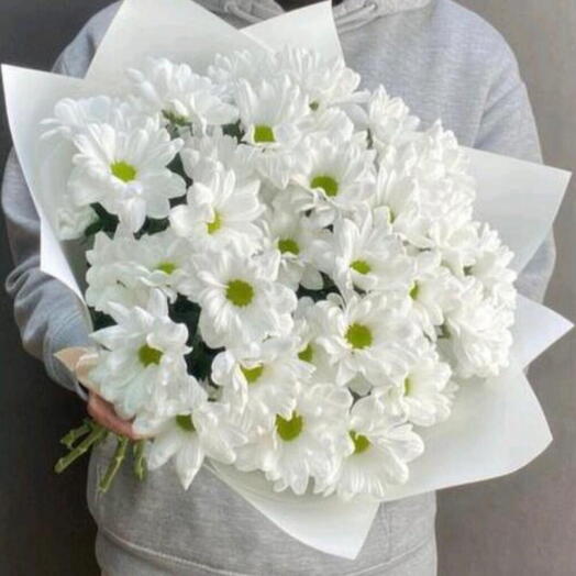 Chrysanthemum
