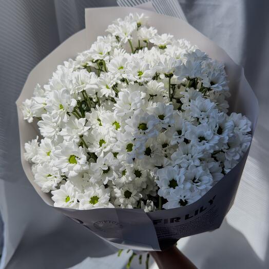 Chrysanthemums