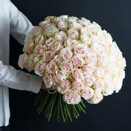 101 pink rose