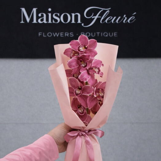 Orchid - Cymbidium rosa