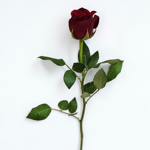 rojo rosado
