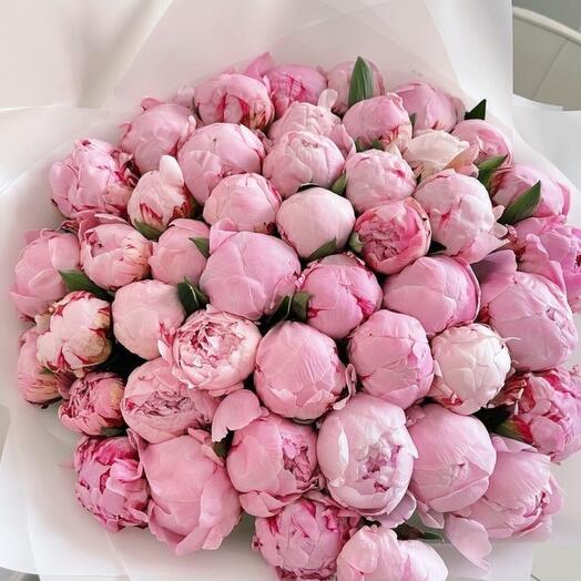 101 Peony