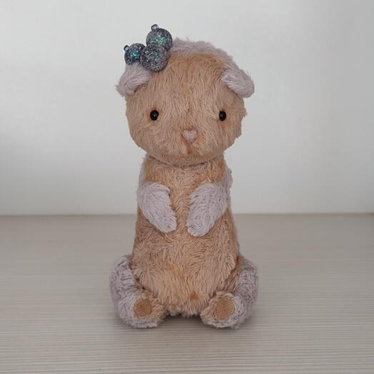 Teddy cat éclair