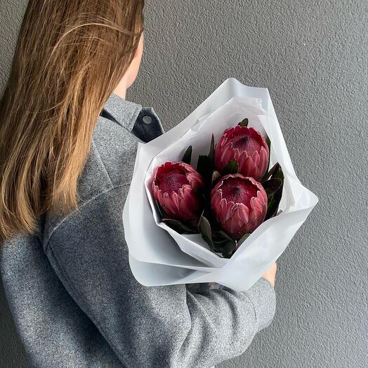 Bouquet of protea