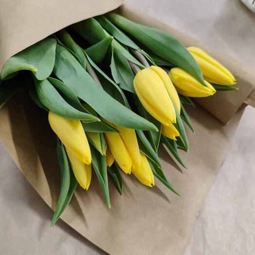 Yellow tulips — 11 pcs
