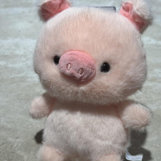 Piggy