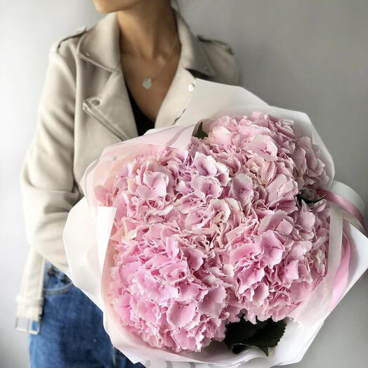 Hortensia Pink five