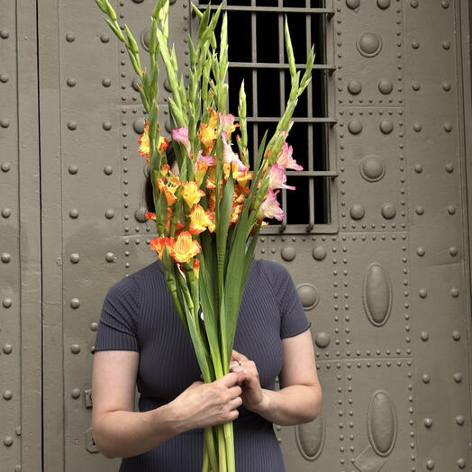Bloom