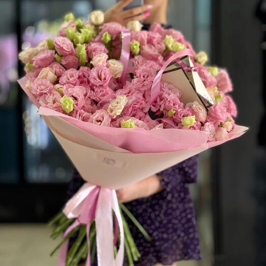 Pink Eustoma, M