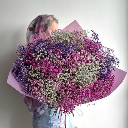 Gypsophilas rainbow