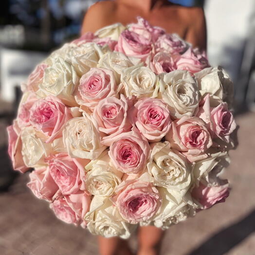 50 Garden roses