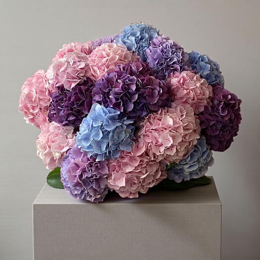 The Bouquet "The Gama of Hydrangeas", 11 stems of flowers, -20%