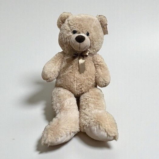 Big teddy bear