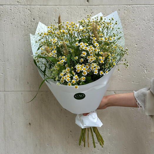 Chamomile