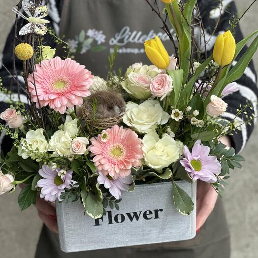 Spring Box