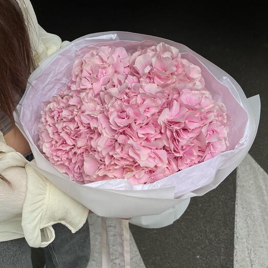 Гортензии Pink