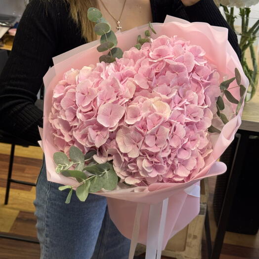 Pink Hydrangea