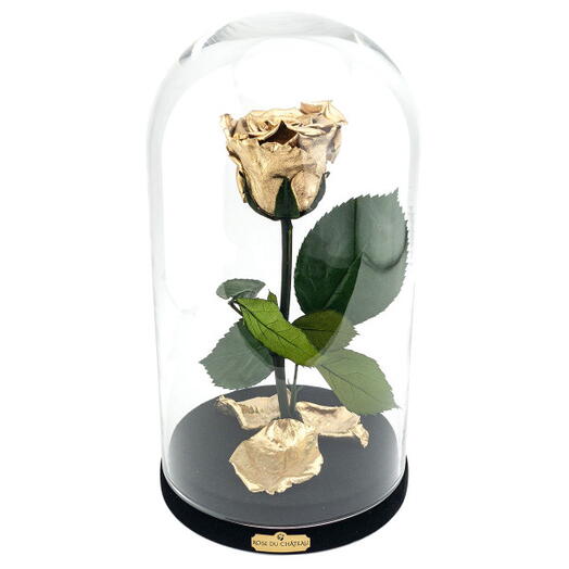 Golden Eternal Rose in a Jewelry Box Beauty   The Beast