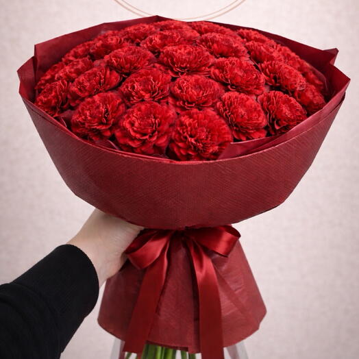 Dianthus - 39 Red