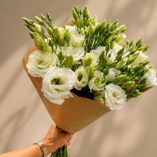 Eustoma 3