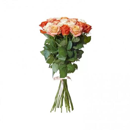 Delicate roses