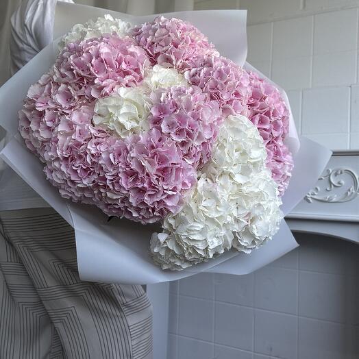 15 hydrangeas