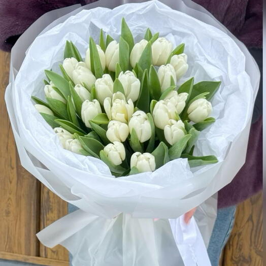 Tulipsss 25