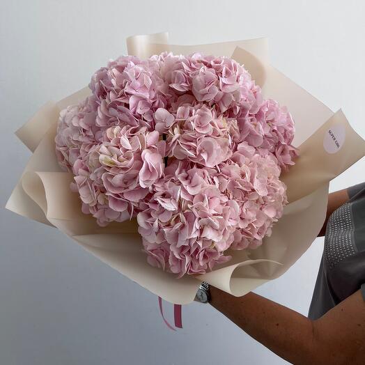 Hydrangeas pink