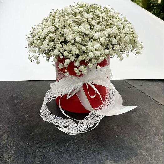 Gypsophila flower box