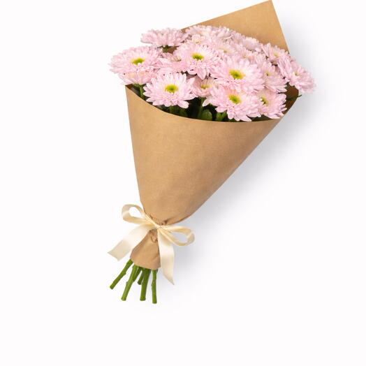 Chrisantema 5 pink