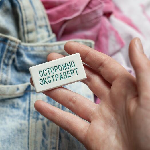 Ceramic brooch "Caution: extrovert"
