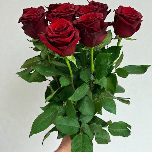 Bouquet of 9 ecuador roses