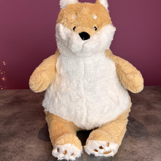 Teddy Bear
