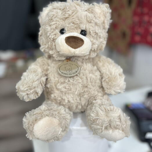 Plush teddy bear (size S)