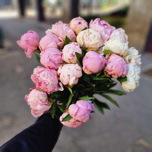Mix peonies Royal