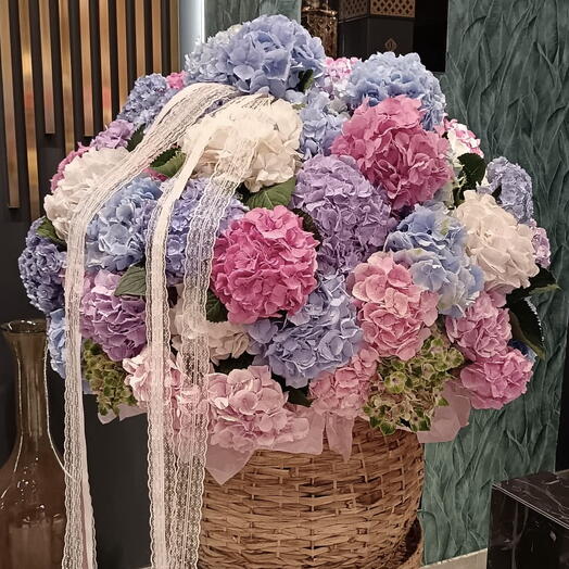 Hidrangea basket
