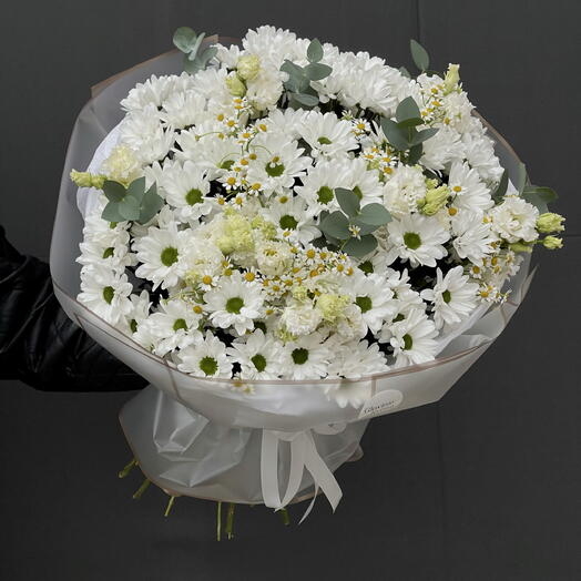 Chrysanthemum
