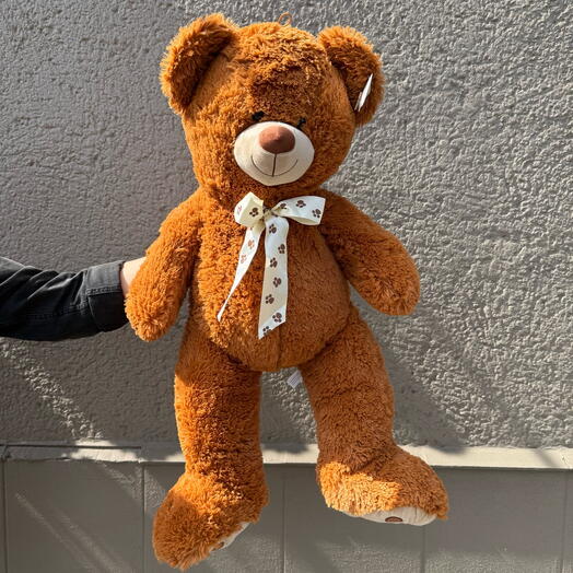 Brown teddy bear 🧸