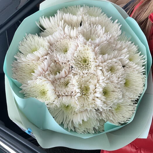 Chrysanthemum