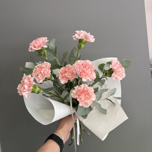 Pink Carnation   Eucalyptus Bouquet