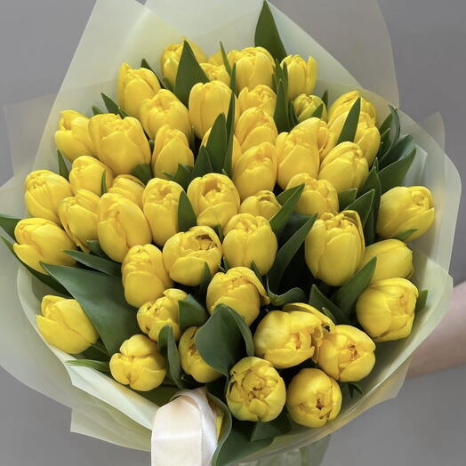 Yellow tulips Happy